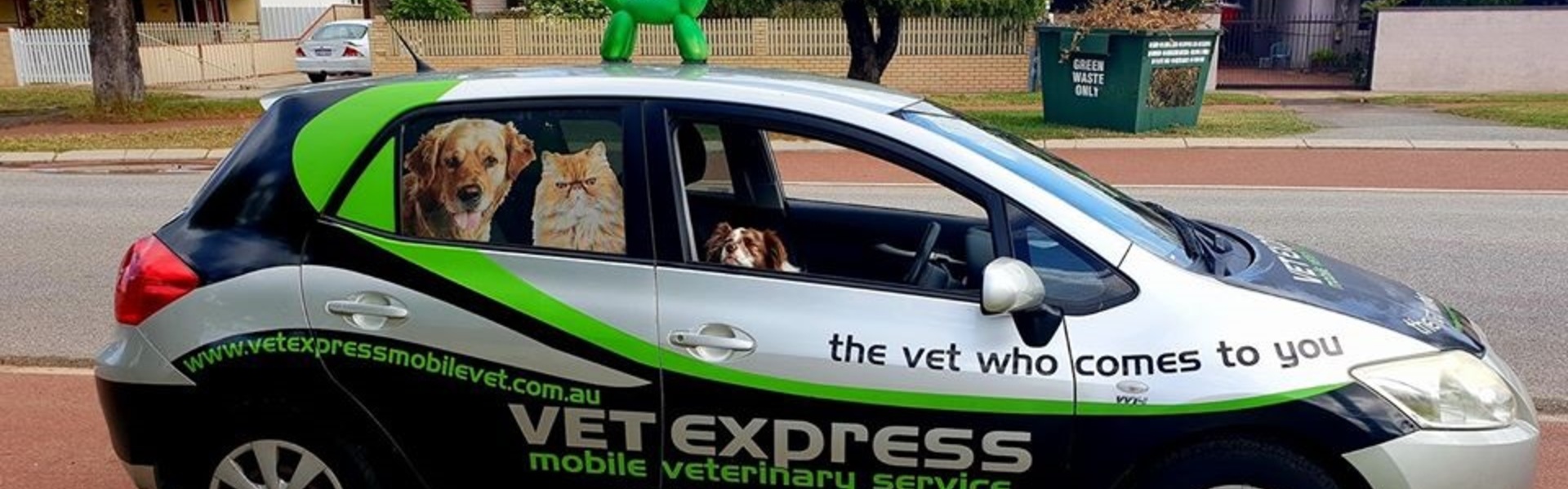 Perth Mobile Vet